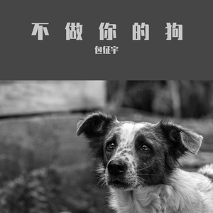 不做你的狗