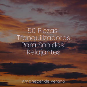 El Hechizo Melódico de la Fantasía Floral