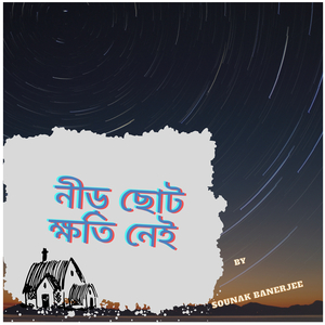 নীড় ছোট ক্ষতি নেই