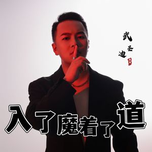 入了魔着了道（DJ默涵版）