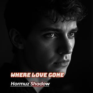 I Watched Our Love Fade