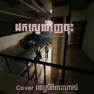 ដកស្នេហ៍វិញចុះ (ច្រៀងស្ទាយថ្មី)