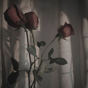 suffocate (prod. longlost)