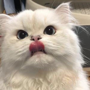 江南