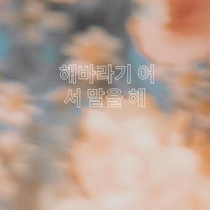 대전부르스