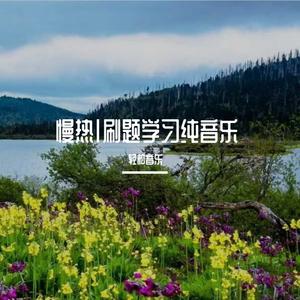 慢热（刷题学习纯音乐-小提琴曲）