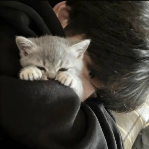 年少不信人间有别离