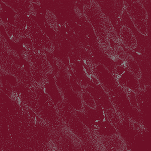 悲喜交集的路线