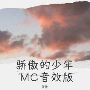 骄傲的少年 MC音效版