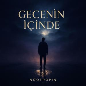 Gecenin İçinde