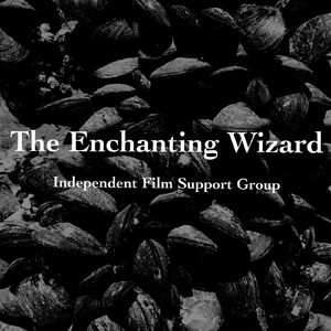 The Enchanting Wizard