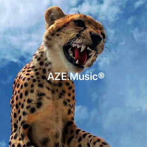 F**ked it up（高质量.Music）