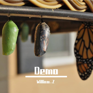 William_Z - 一阳指和狮吼功