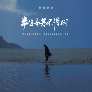 半生辛苦不得闲