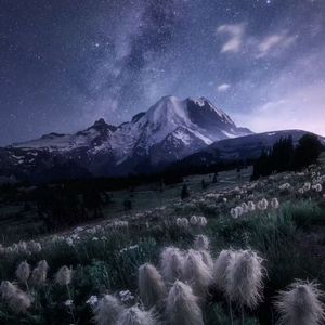 淮水竹亭（古筝曲）