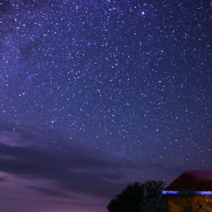 晴声酒馆纯音乐