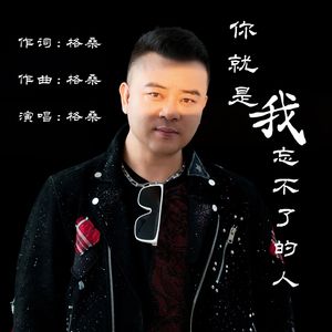 你就是我忘不了的人