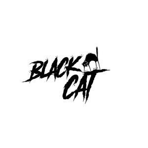 Black Cat