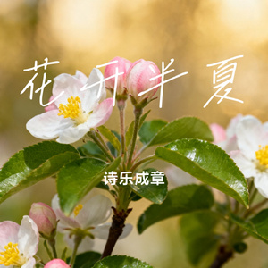 花开半夏