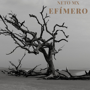 Efímero