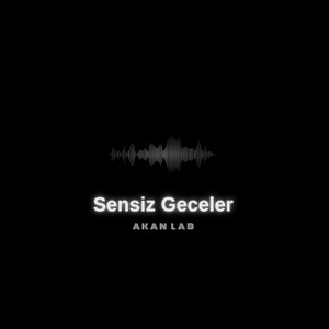 Sensiz Geceler