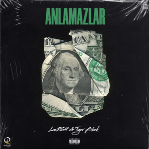 Anlamazlar