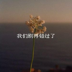 我们别再错过了