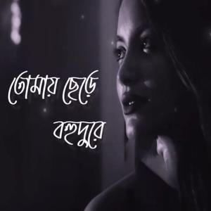 নয় ভরে দেখি তোমাকে