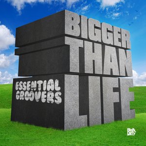 Bigger Than Life (Original Mix)