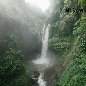 Toa A Former Panegyrist