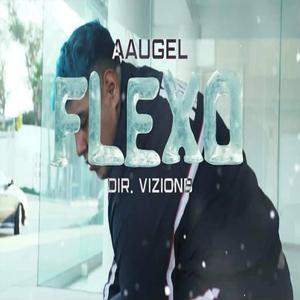 Flexo