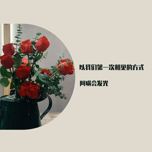 姑娘，今夜我不想睡觉，只想睡你（cover_风子）（翻自 风子）