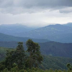 银山 (Silver mine)