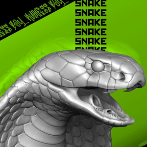 SNAKE