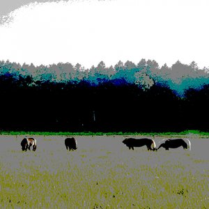 Att söka en försvunnen horisont