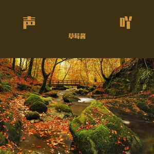 的范围