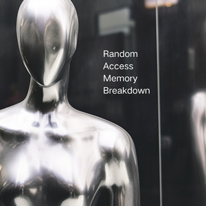 Random Access Memory Breakdown