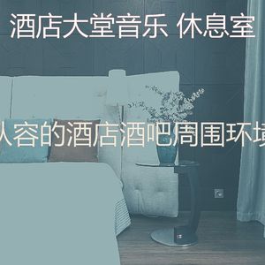 抚慰的酒店酒吧回忆