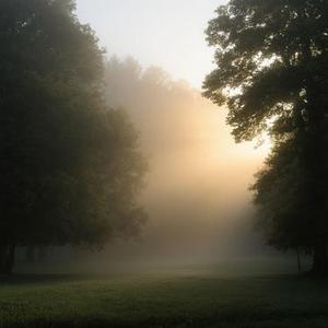 雨过后的风景 (Cover Dizzy Dizzo(蔡诗芸))