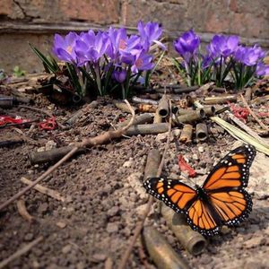 Неотправленное письмо