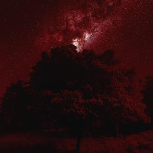 我们相信与等待的一切（Purple Sea）