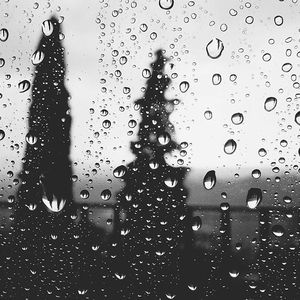 ヽ｀ヽ｀、ヽヽ｀ヽ｀、ヽ