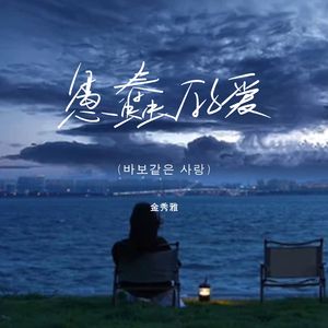 愚蠢的爱（바보같은 사랑）