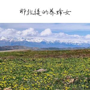 那拉提的养蜂女