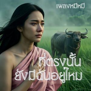 ที่ตรงนั้นยังมีฉันอยู่ไหม (ลูกทุ่งอินดี้)