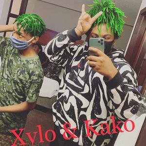 Of the Safe (feat. Kako)