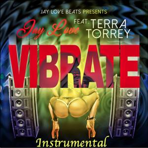 ViBrate (feat. Terra Torrey) (Instrumental) (Instrumental)