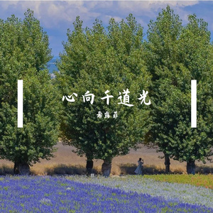 心向千道光