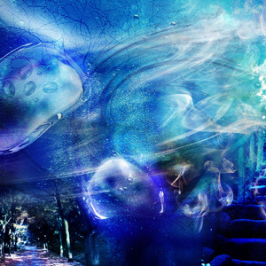 不思議な世界へようこそ