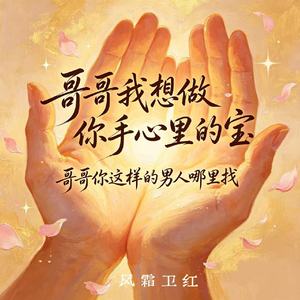 哥哥我想做你手心里的宝（哥哥你这样的男人哪里找）